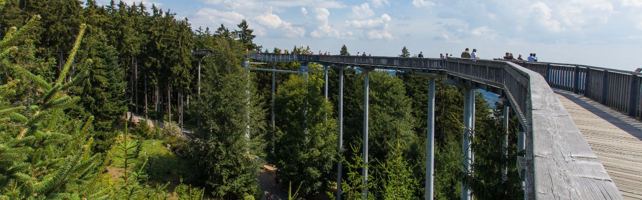 Bayerischer_Wald_Urlaub_Reiseziel_Sankt-Englmar