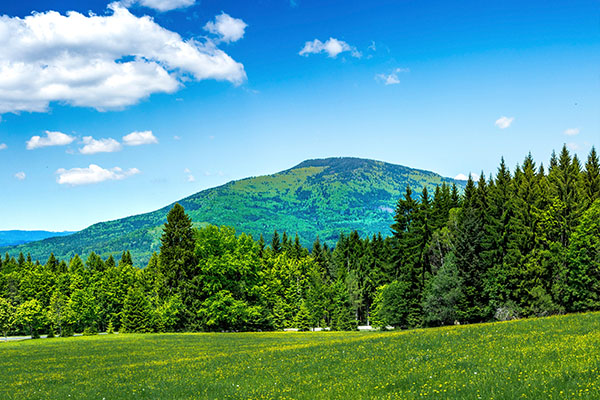 Bayerischer_wald_Ausflugsziel_Grosser_Falkenstein