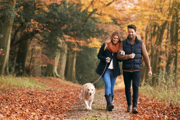 Goldener Herbst, Urlaub mit Hund