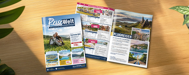 Landingpage-Katalog-Mockup_645x256px