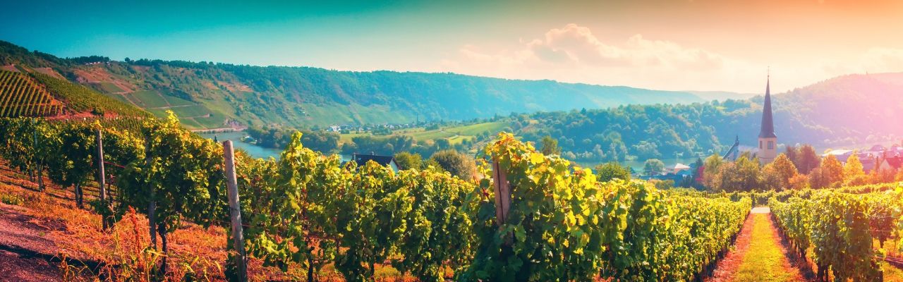 Luxusurlaub_Mosel_Panorama
