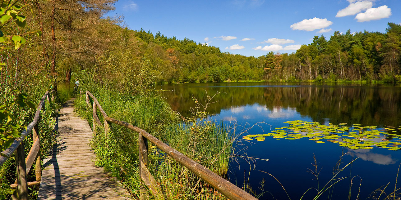 Mueritz-Nationalpark_Mecklenburgische_Seenplatte_Heiko Zahn_61037588_1290x645px