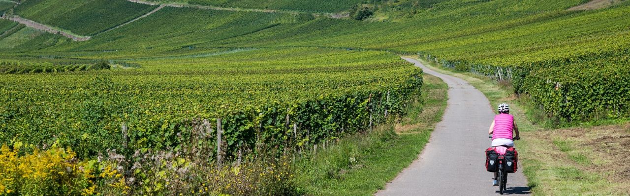 Radreisen_Mosel
