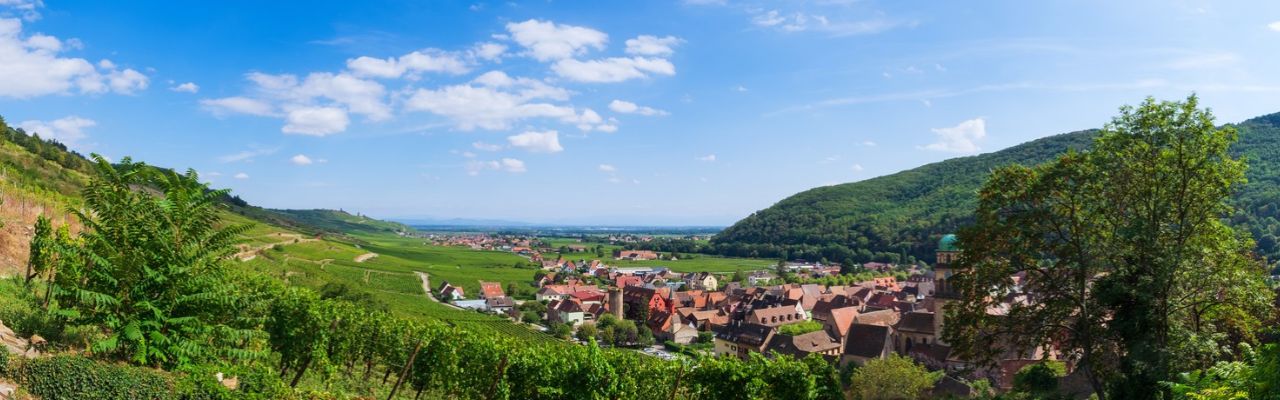 Radreisen_elsass