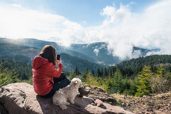 Schwarzwald-Urlaub-mit-Hund