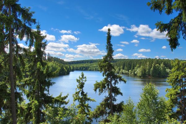 Urlaub_Harz_Nationalpark