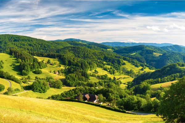 Urlaub_Schwarzwald_Feldberg