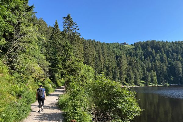 Urlaub_Schwarzwald_Waelder-Nationalpark