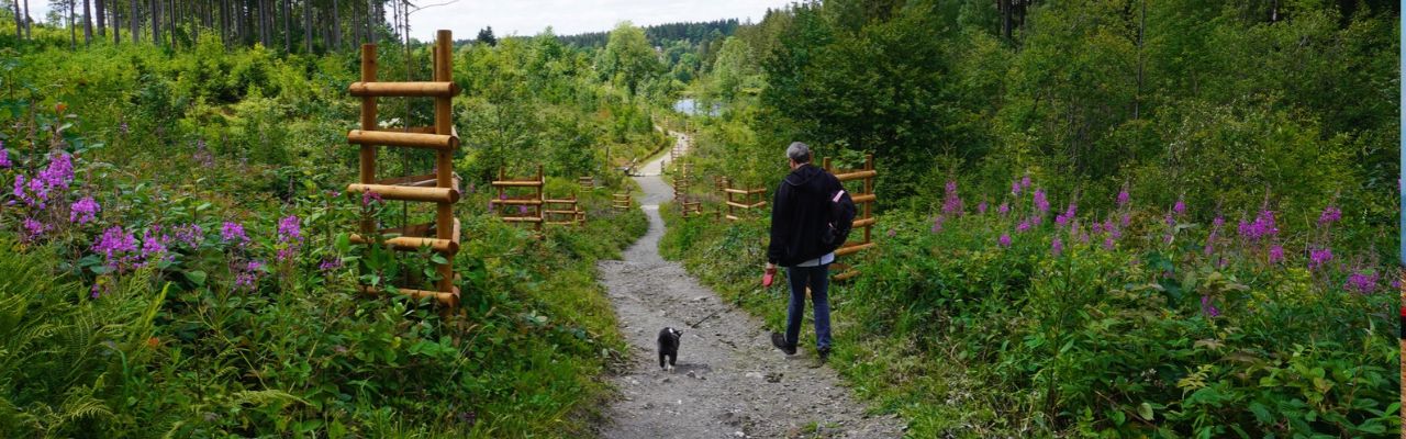 Urlaub_mit_Hund_Harz_Wanderung_Liebesbankweg