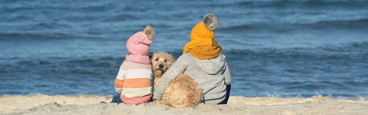 Urlaub_mit_hund_Nordsee_Strand_geniessen