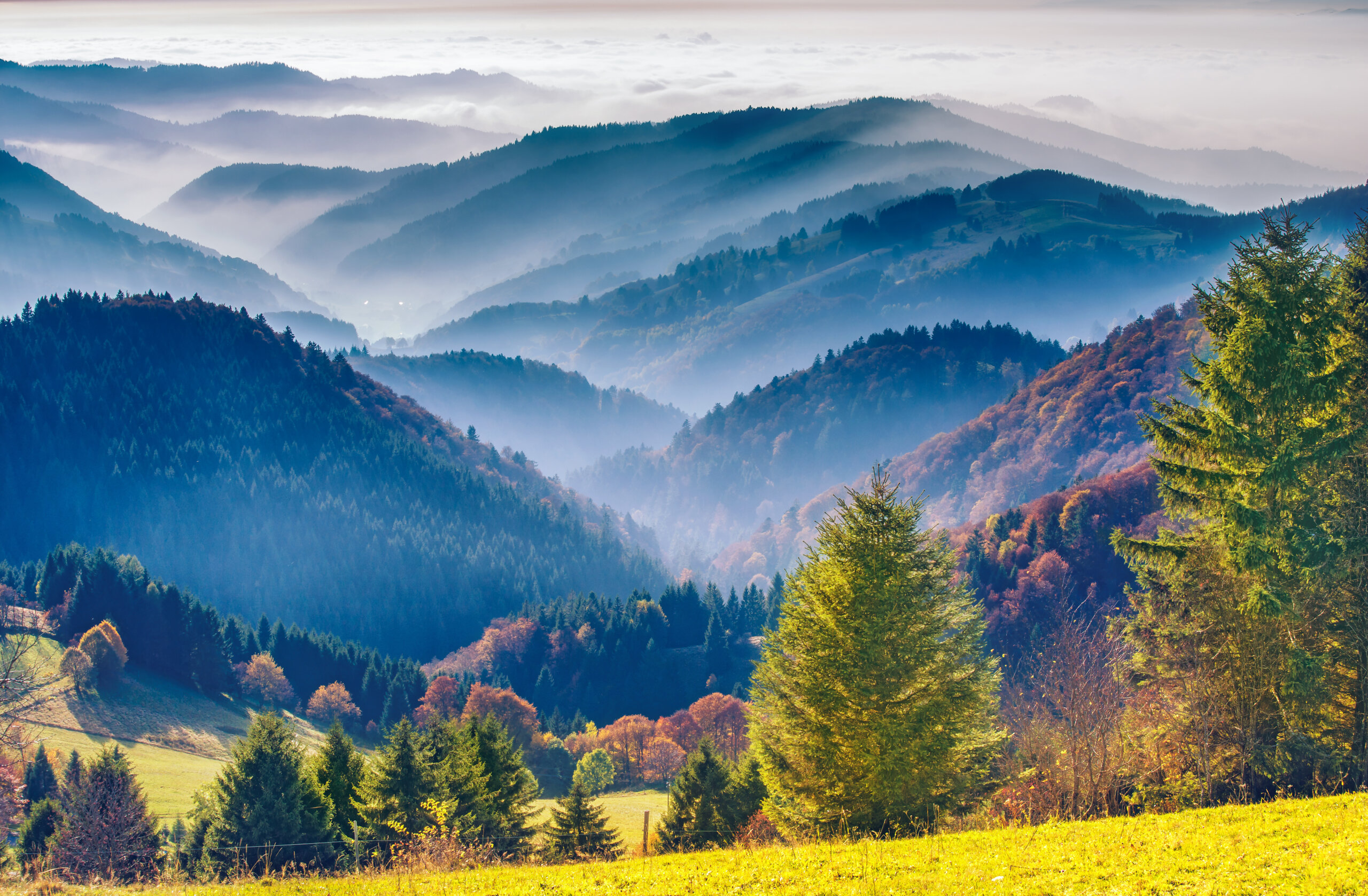Urlaub_schwarzwald_Deutschland_Landschaft