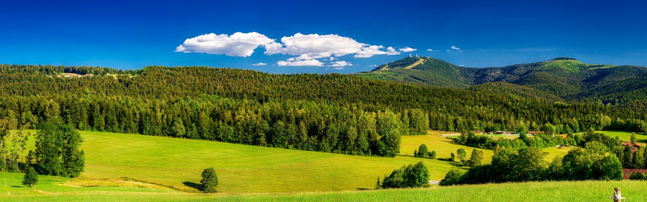 Wanderurlaub_Bayerischer-Wald