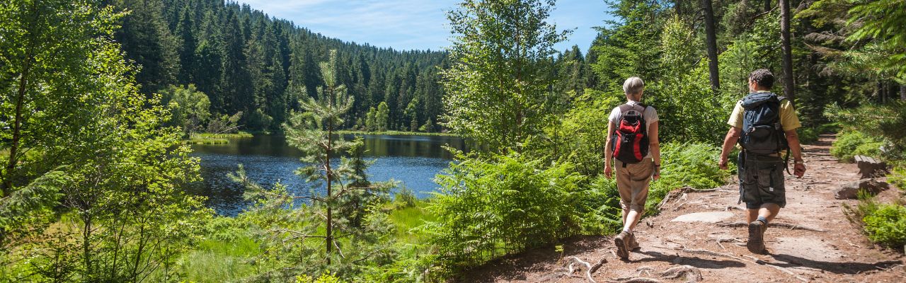 Wanderurlaub_Schwarzwald
