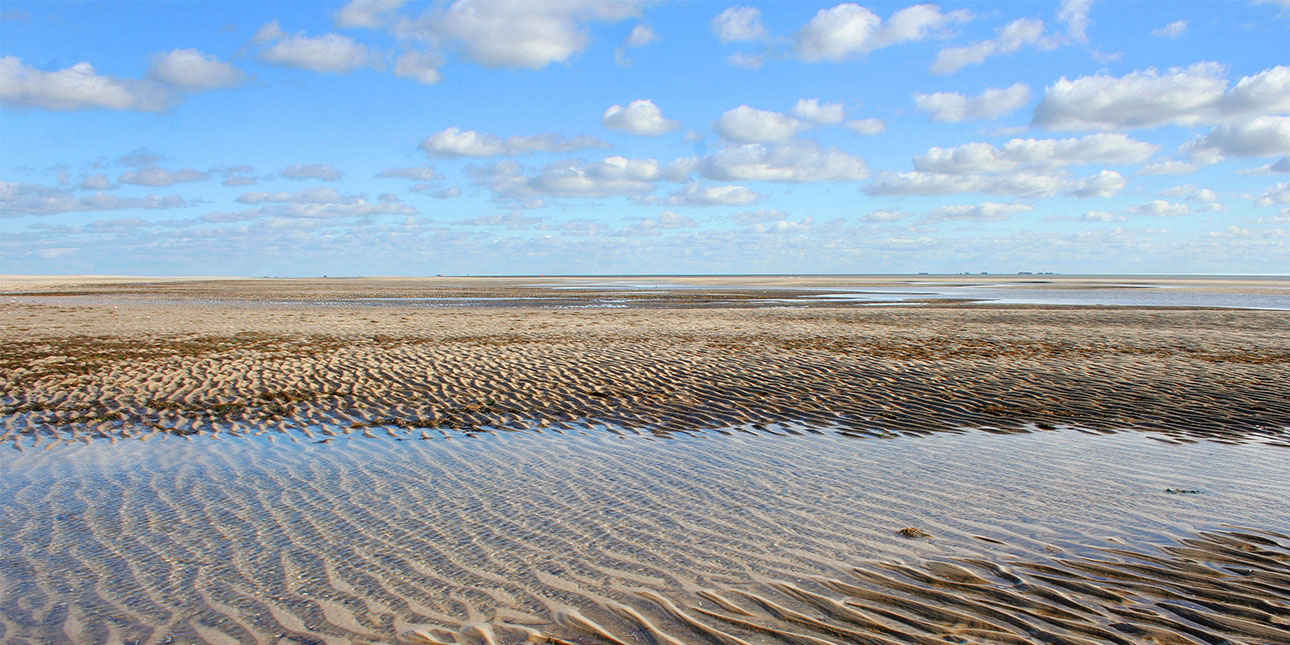 Wattenmeer_Nordsee_farbkombinat_18601494_1290x645px