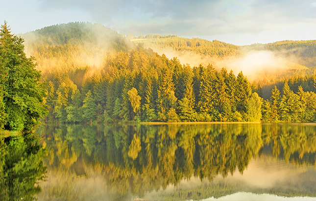 Erleben Sie die traumhafte Landschaft des Harzes bei einer Fahrt mit der Brockenbahn.