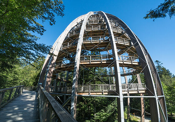 Bayerischer_Wald_Sehenswuerdigkeiten_Baumwipfelpfad
