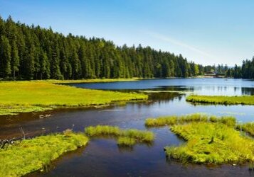 Bayerischer_Wald_arbersee