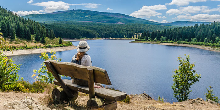 Harz_Startseite_226367319_700x350px