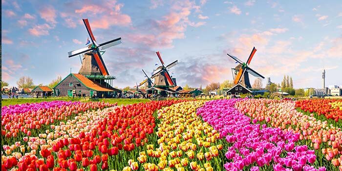 Holland_Beliebte_Reiseziele_Startseite_700x350px