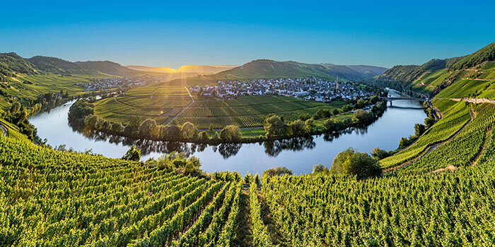 Mosel_Startseite_365943393_700x350px