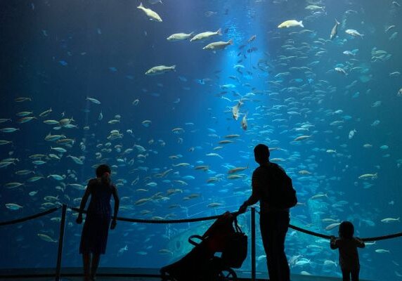 Ostsee_Urlaub_sehenswuerdigkeiten_Ozeaneum