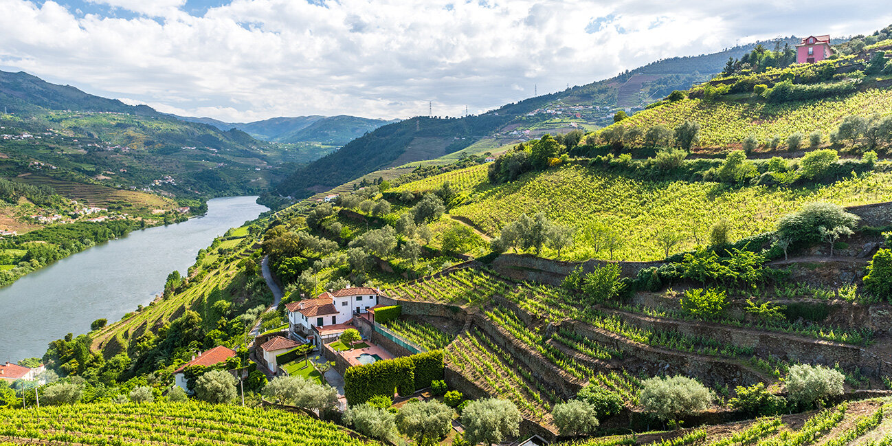 Grüne Region Douro in Portugal