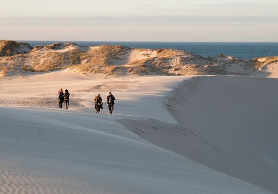 Urlaub_polnische_Ostsee_Sehenswuerdigkeiten_Wanderduenen_Slowinski-Nationalpark