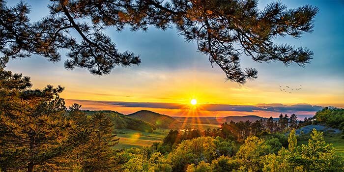 beliebte_Reiseziele_thueringer-wald_700x300px