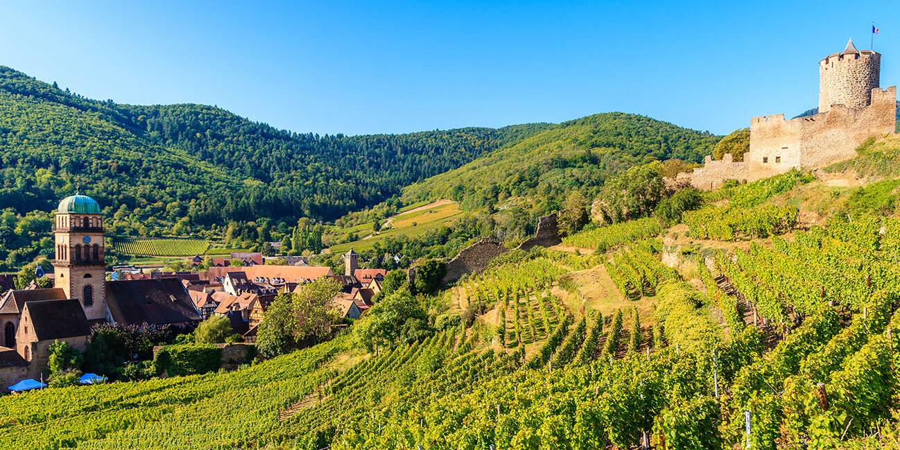 Mittelalterliche Burg auf einem Hügel zwischen Weinbergen im Dorf Kaysersberg an der elsässischen Weinstraße, Frankreich