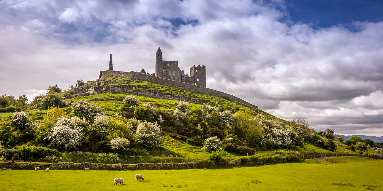 Der Felsen von Cashel im ländlichen Irland an einem sonnigen Tag mit grasenden Schafen.
