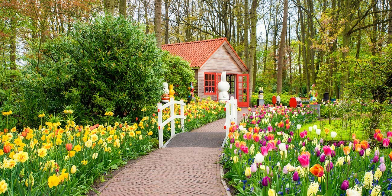 Schöne Frühlingsblumen im Keukenhof-Park in den Niederlanden