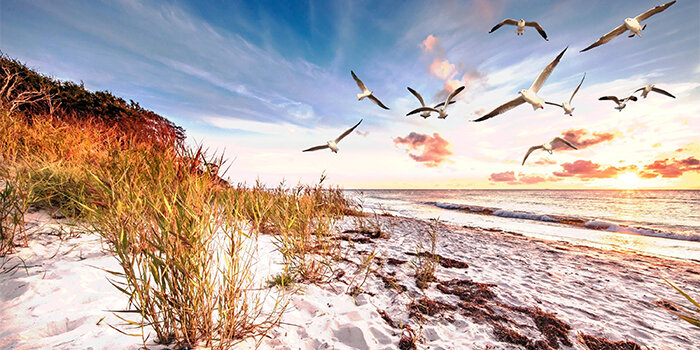 ostsee_459404110_ss_reiseziele_700x350px