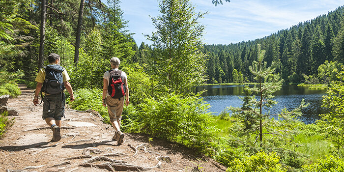 schwarzwald_77612558_ss_reiseziele_700x350px