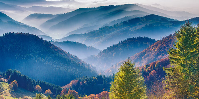 schwarzwald_startseite_231286886_700x350px