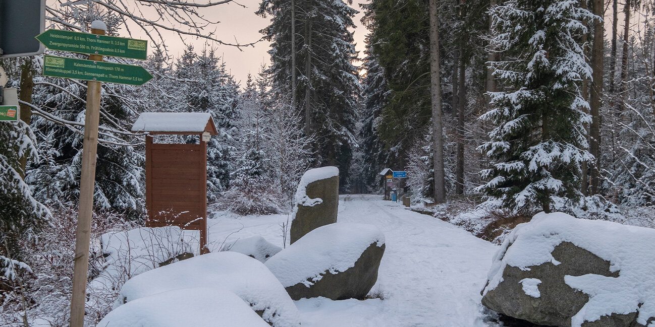 Winterwanderungen im Spreewald