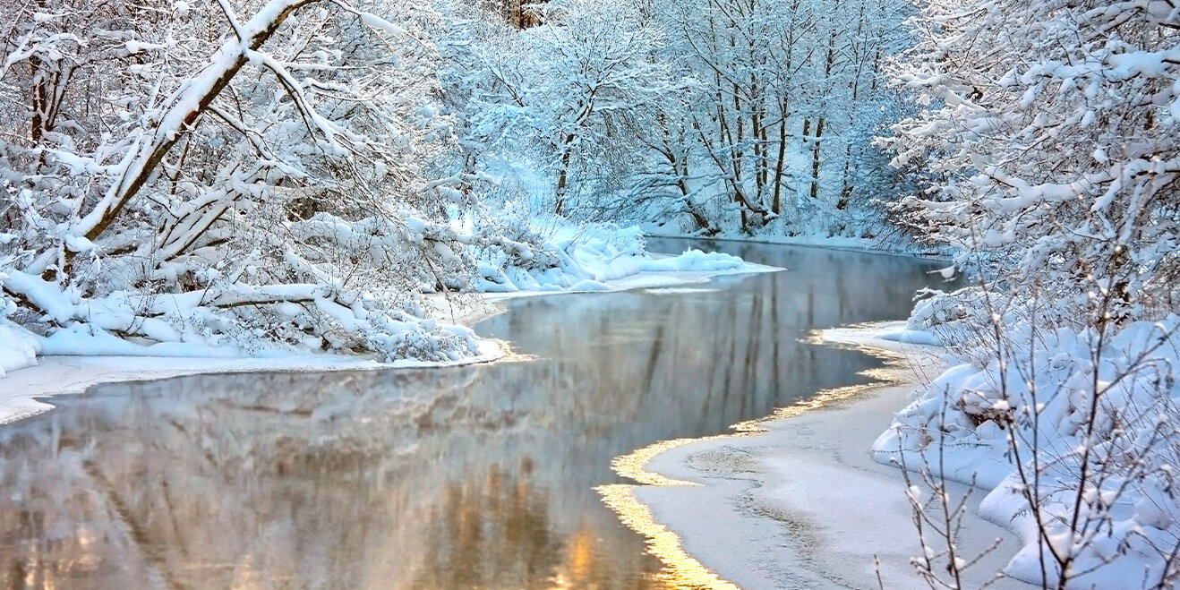 Winter im Spreewald