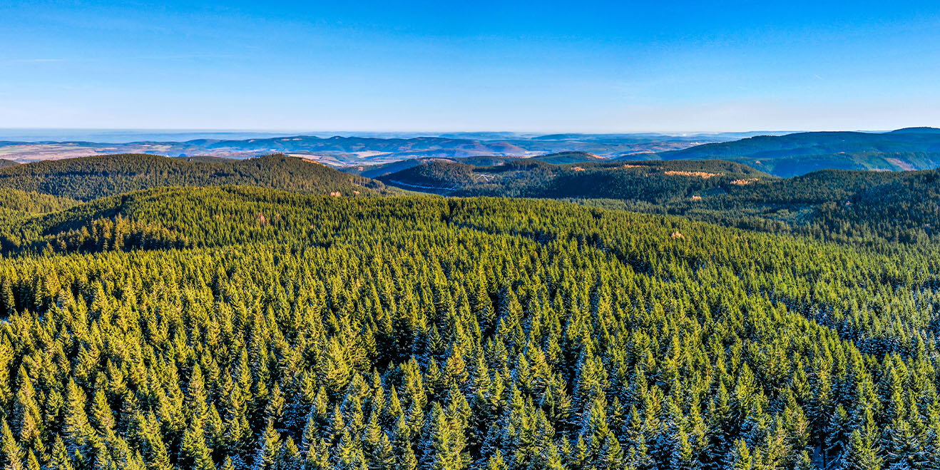 Panoramablick auf den Thüringer Wald bei Oberhof