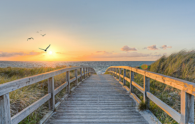Buchen Sie einige Nächte im Hotel Gremersdorf und genießen Sie Ihren Traumurlaub an der Ostsee.