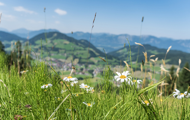Herzlich willkommen im Hotel Sonnschein in Niederau!