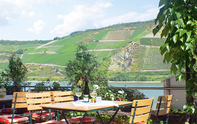 Genießen Sie den tollen Ausblick von der Terrasse. 