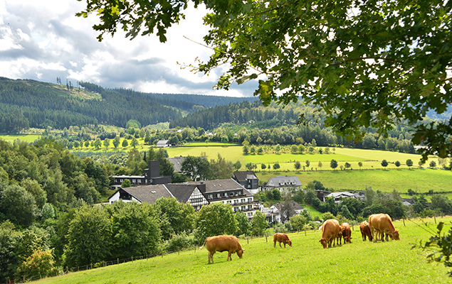 Außenansicht des Sauerland Alpin Hotels