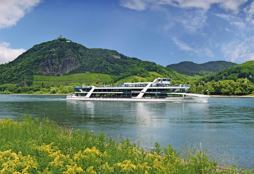 Freuen Sie sich auf eine schöne und informative Panorama-Schifffahrt auf dem Rhein!