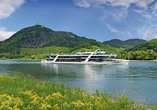 Freuen Sie sich auf eine schöne und informative Panorama-Schifffahrt auf dem Rhein!