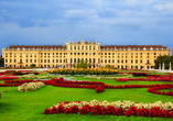 Machen Sie einen Ausflug zum Schloss Schönbrunn in Wien.