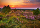 Sonnenuntergang am Wilseder Berg in der Lüneburger Heide.