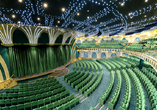 Im Theater an Bord werden Ihnen großartige Shows gezeigt.