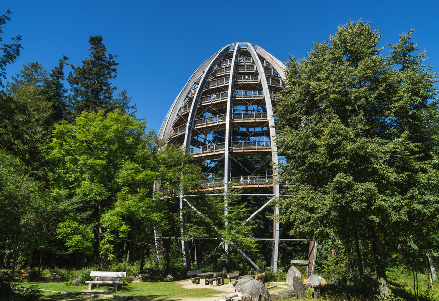 Der Baumwipfelpfad Bayerischer Wald bietet beeindruckende Ausblicke über die Wälder.