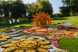 Die Blumeninsel Mainau ist auf jeden Fall einen Besuch wert.