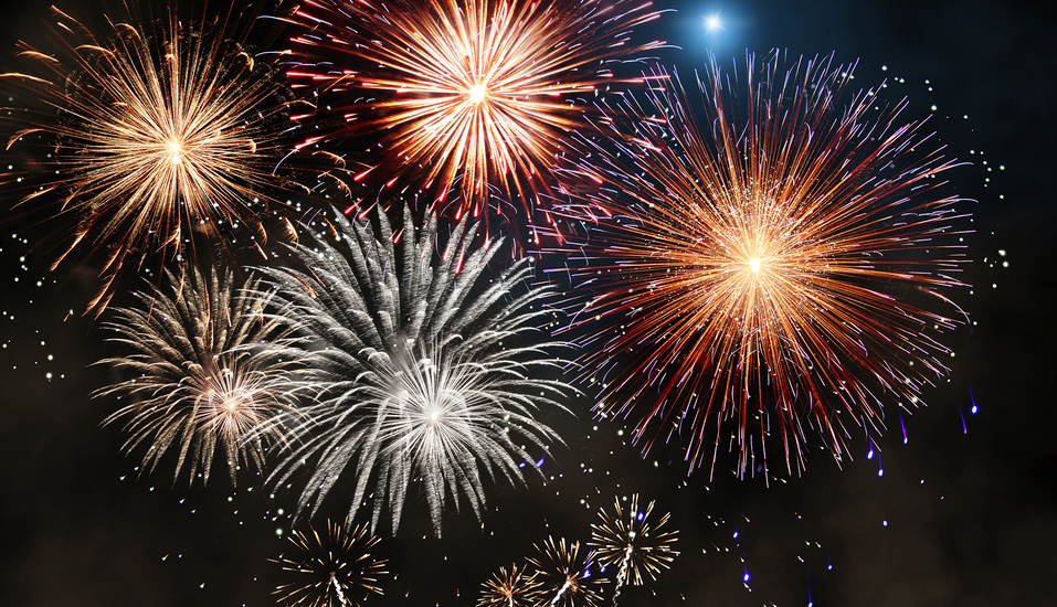 Wir wünschen Ihnen ein frohes, neues Jahr!