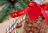 Gebrannte Mandeln zu Weihnachten